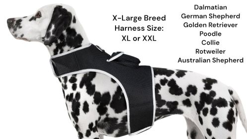 Precise Realtime Dog Tracking GPS GSM System Collar Mount Pet Tracker Size:L