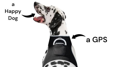 Realtime GPS Tracking with Waterproof Mini GSM GPRS Pet Collar Tracker Size:L